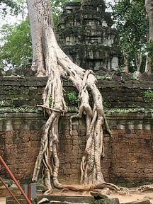 Angkor WatAngkor Wat