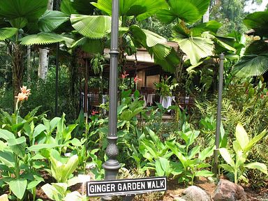 Singapore - Ginger Garden