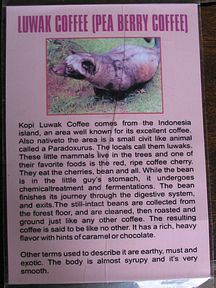 Bali - Beschreibung Luwak Kaffee (teuerster Kaffee weltweit