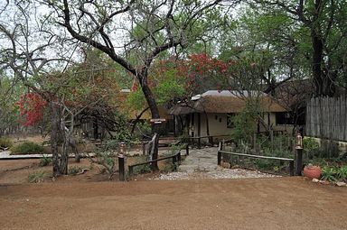 Kwa Mbili Game Lodge - Thornybush Reservat (Greater Kruger)