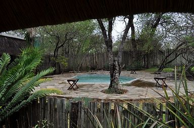 Kwa Mbili Game Lodge - Thornybush Reservat (Greater Kruger)