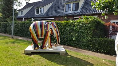 Laren - Elephant Art Exhibition