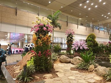 Singapore - Changi Airport