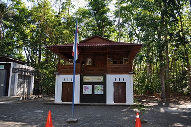 Tangkoko Nationalpark, Nord Sulawesi