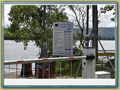 Daintree Ferry (QLD)