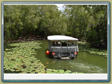Hartley's Crocodile Adventures,Wangetti (QLD)