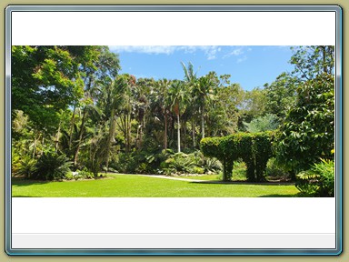 Cairns - Botanic Gardens (QLD)