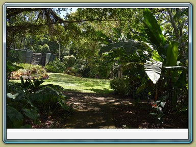 Cairns - Botanic Gardens (QLD)