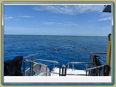 Passions of Paradise - Dive & Snorkel Great Barrier Reef (QLD)