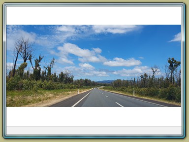 Princes Highway (NSW)
