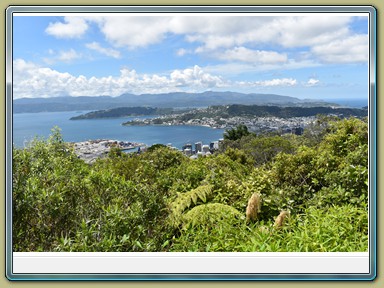 Harbour Lookout, Wellington (NZL)