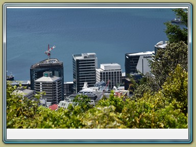Harbour Lookout, Wellington (NZL)