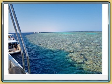 Tauchfahrt zum Panorama Reef