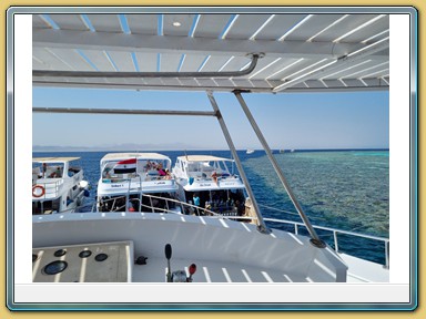 Tauchfahrt zum Panorama Reef