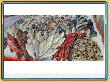 Hurghada - Fischmarkt