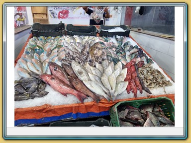 Hurghada - Fischmarkt
