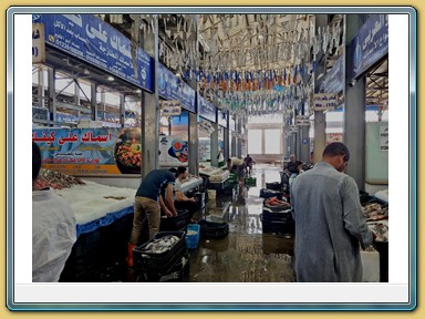 Hurghada - Fischmarkt