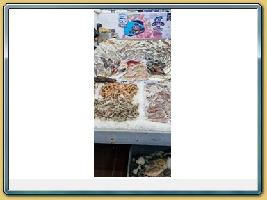 Hurghada - Fischmarkt