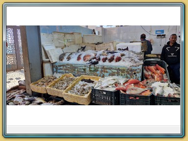 Hurghada - Fischmarkt