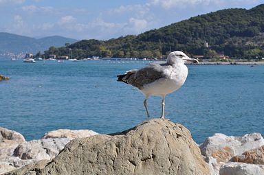 Porto Venere (Italien)