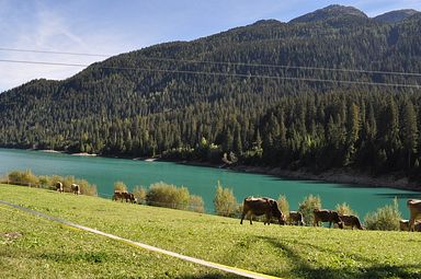 Hinterrhein (Schweiz)