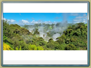 Wairakei Thermal Valley