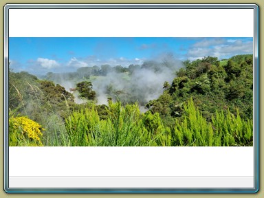 Wairakei Thermal Valley