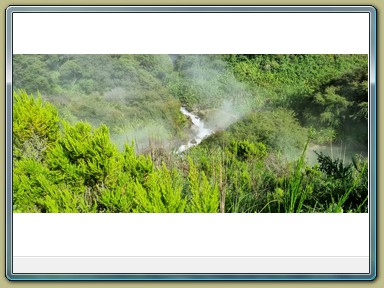 Wairakei Thermal Valley