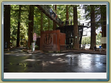 Redwoods Treewalk, Rotorua (NZL)