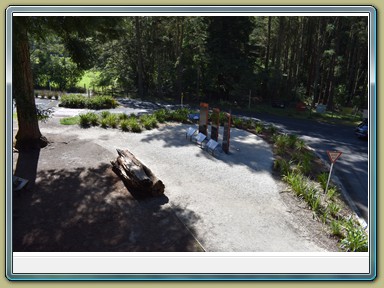 Redwoods Treewalk, Rotorua (NZL)