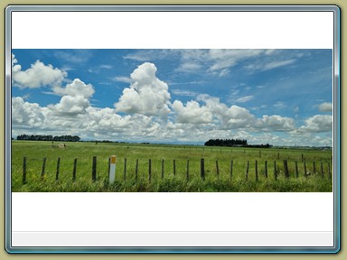 New Zealand Highway 1