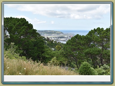 Mount Victoria Lookout, Wellington (NZL)