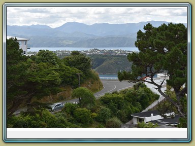 Mount Victoria Lookout, Wellington (NZL)