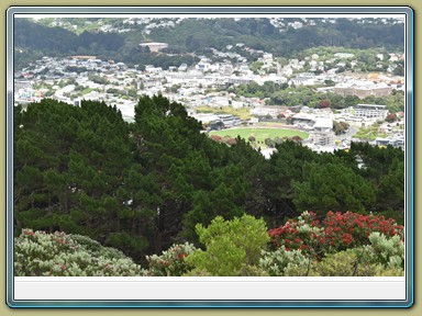 Mount Victoria Lookout, Wellington (NZL)