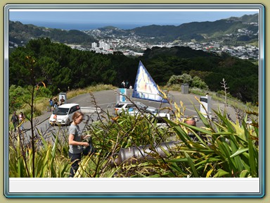 Mount Victoria Lookout, Wellington (NZL)