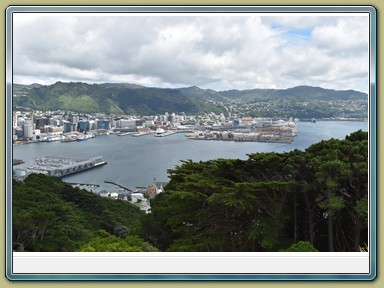 Mount Victoria Lookout, Wellington (NZL)